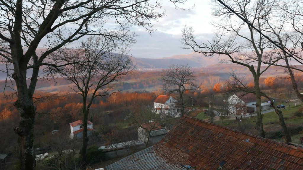 Apartments Cvitini Dvori Garjak Vrlika Bagian luar foto